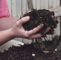 compost