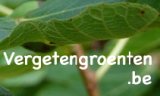 Vergeten groenten